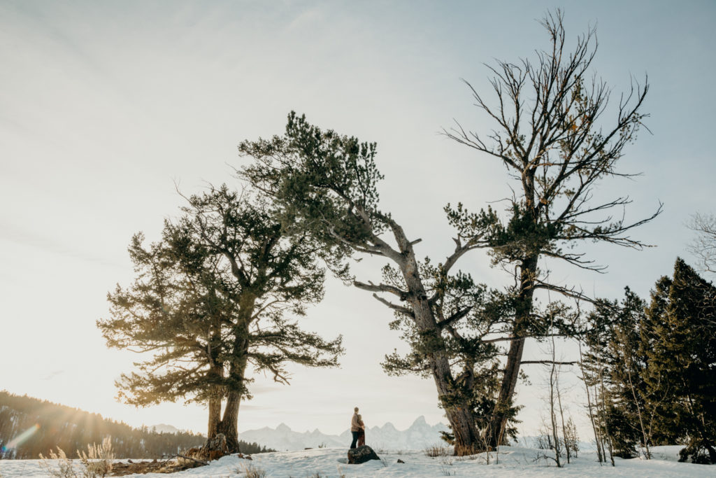 the wedding tree kelly wyoming