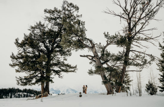 Grand Teton National Park Elopement at the Wedding Tree during the Winter