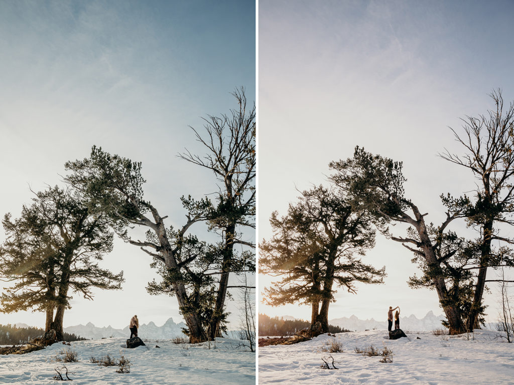 the wedding tree grand teton national park engagement