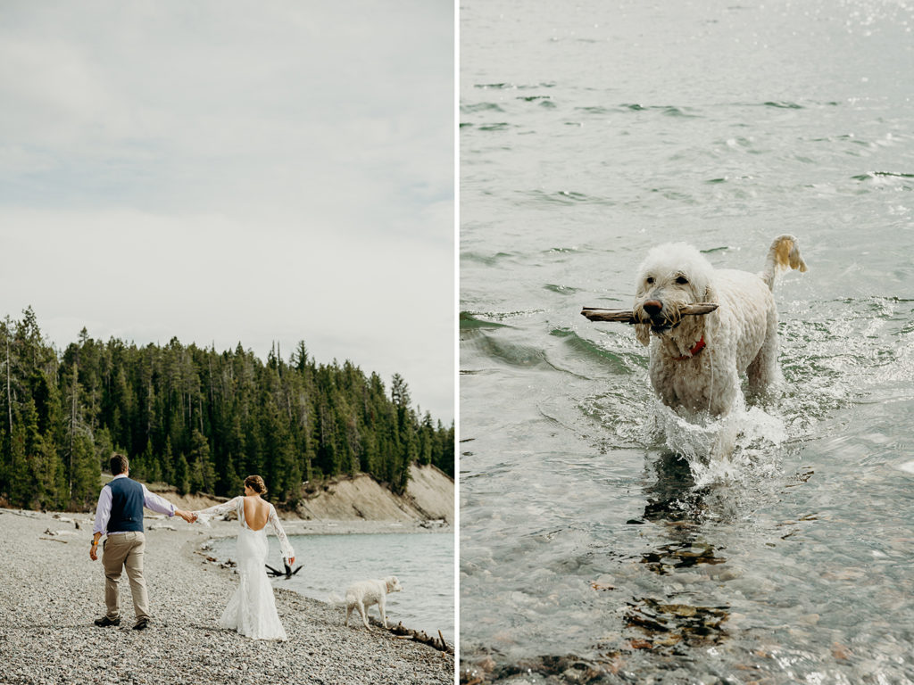 jenny lake wedding jackson hole