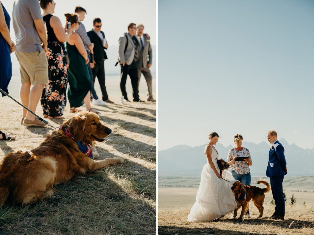 Jackson Hole Wedding