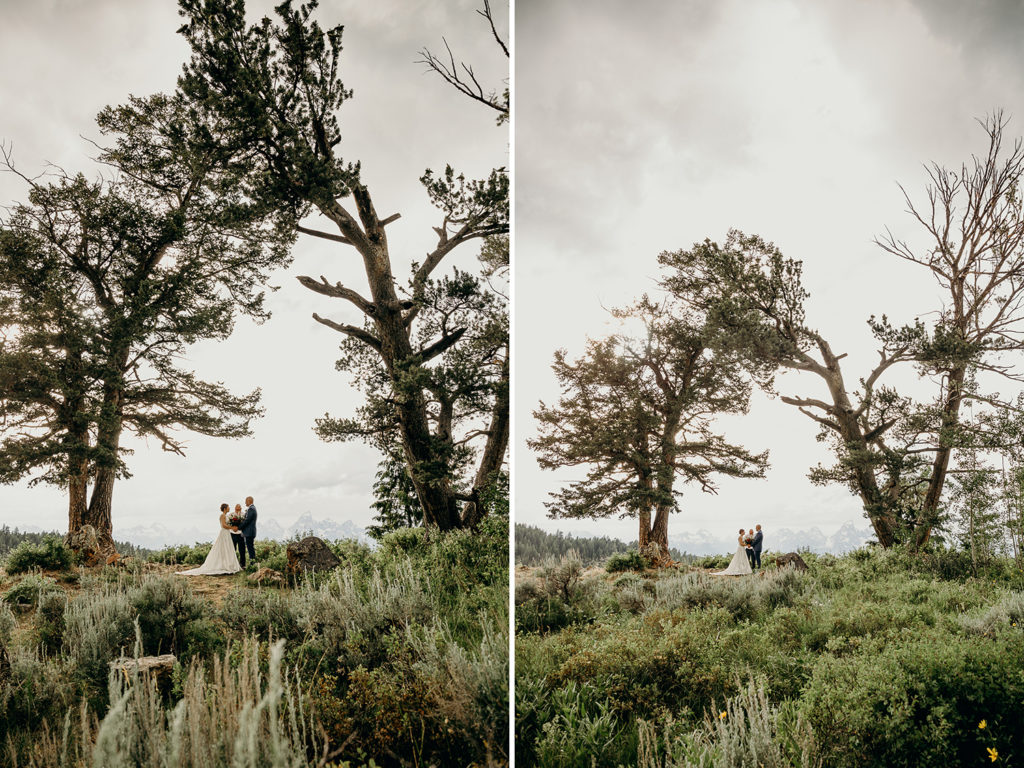 Bridger Teton National Forest Wedding