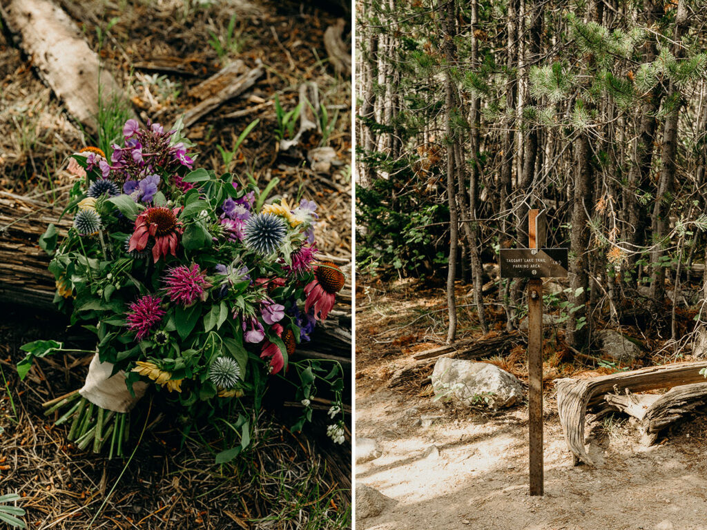 taggart lake elopement