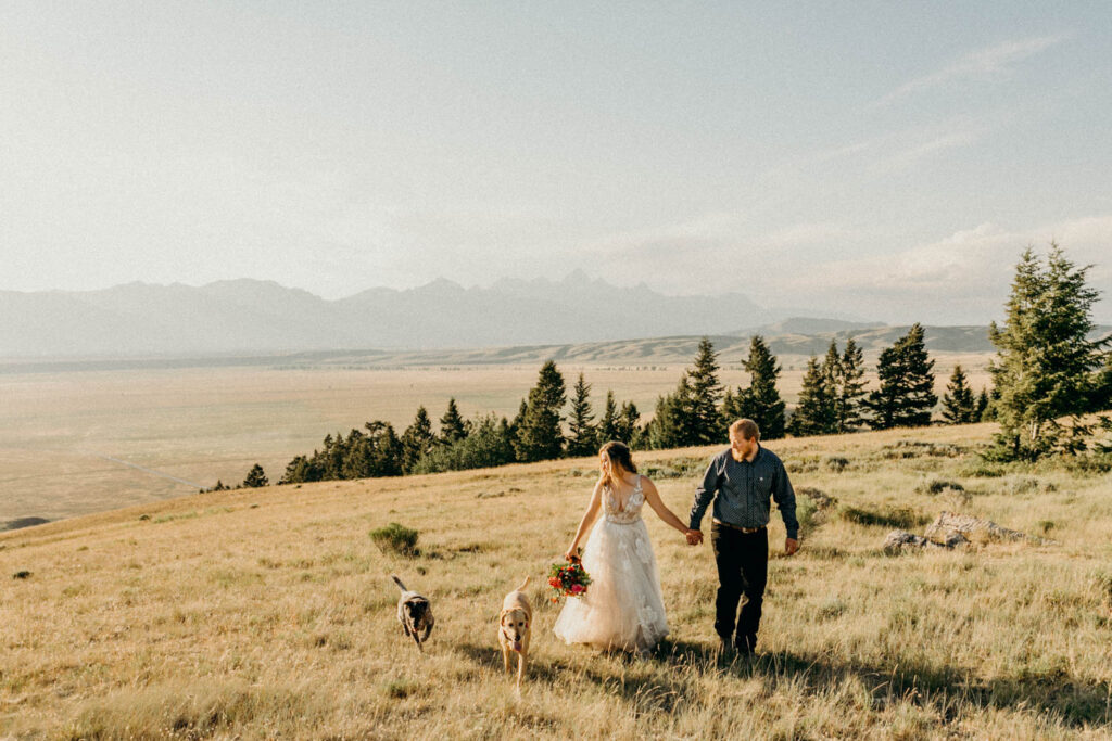 Mormon Row Wedding